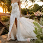A collection of various Vera Wang wedding dresses displayed together.